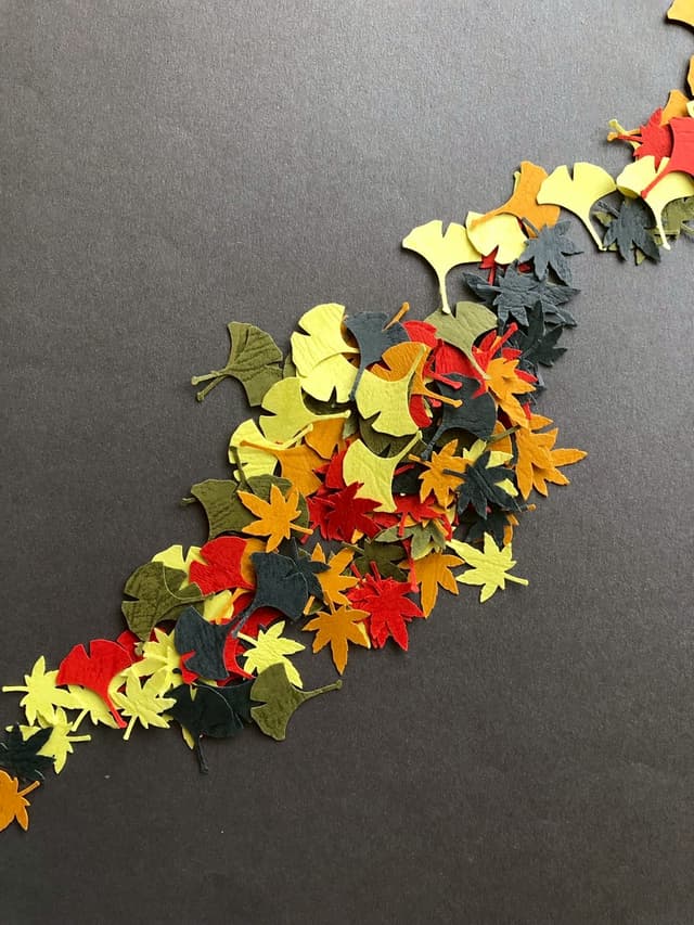 Autumn Leaves Set: Maple & Ginkgo
(2.5cm)